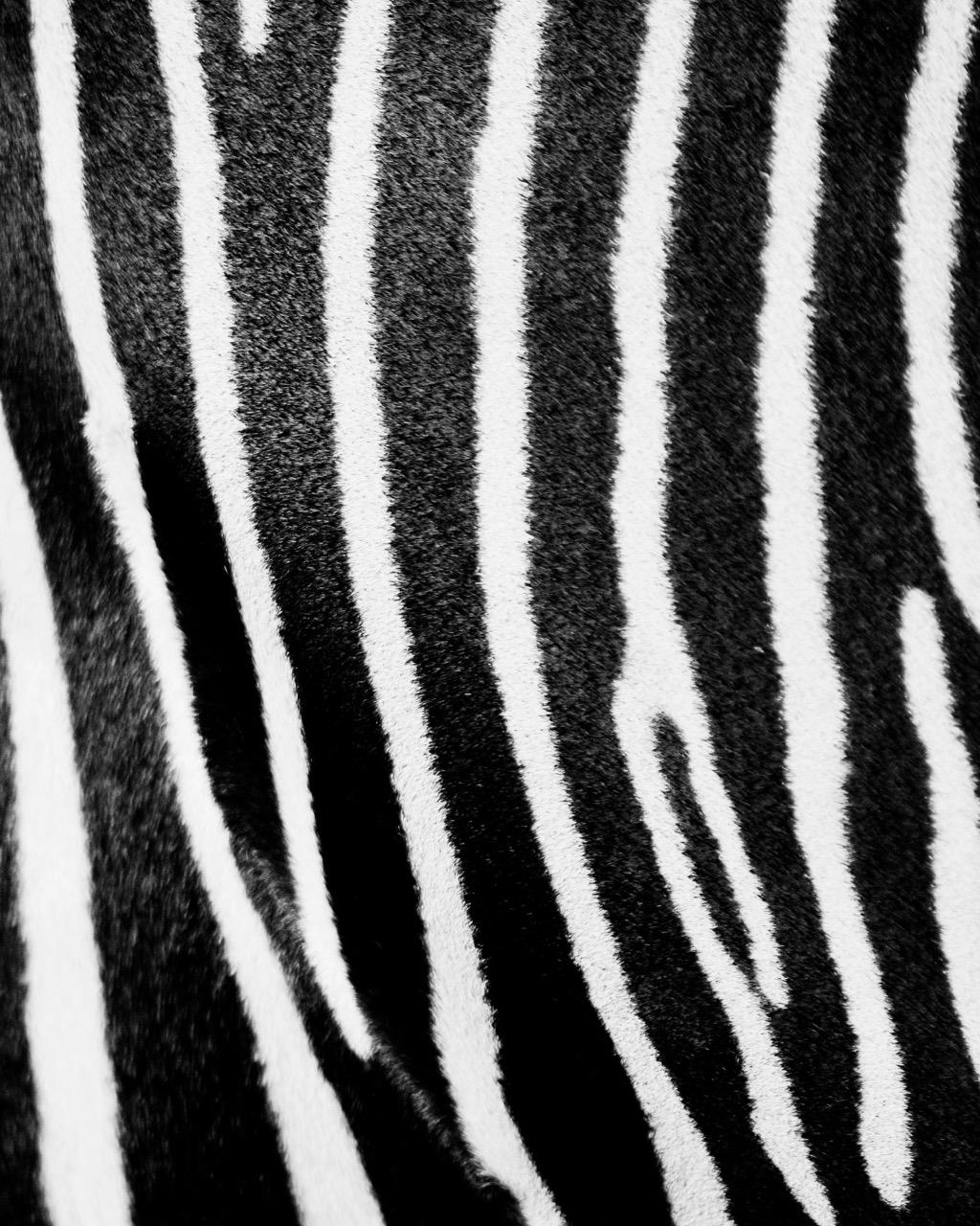 Design ohne Titel - 31