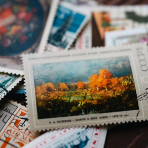 lyor studio - werbeagentur tirol 51